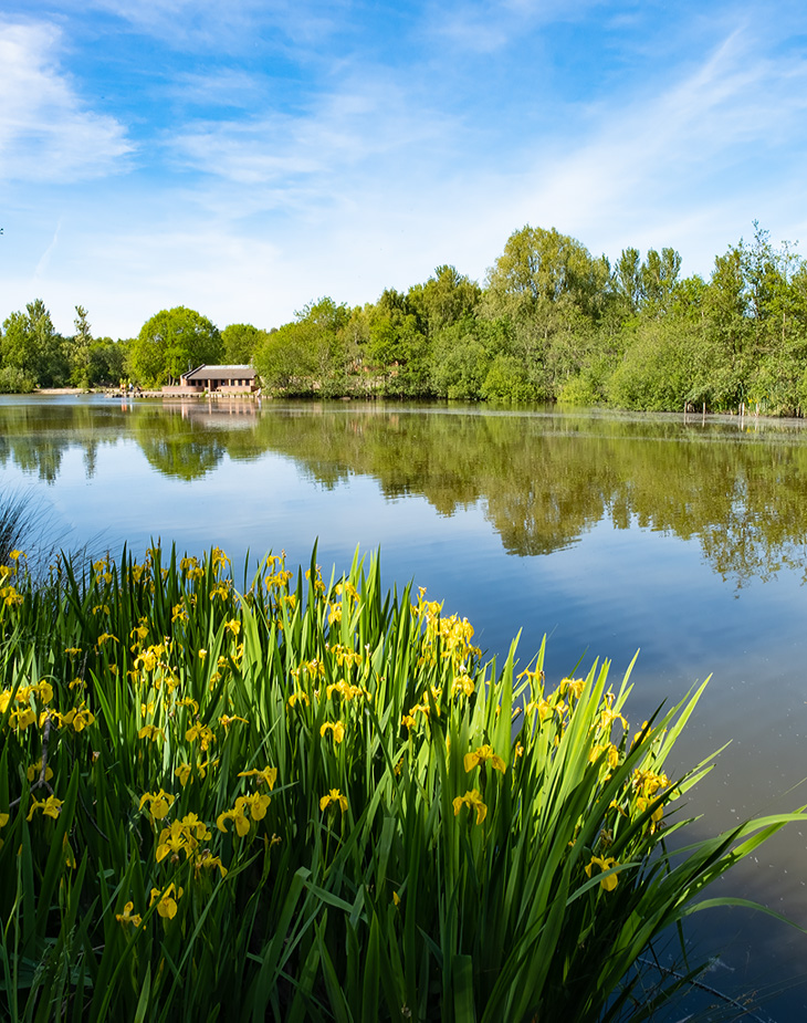 Three Sisters Lake